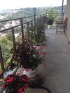 Hostal Guest House Panorama