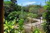 Hostal Bamboo Hut Bangalow