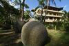 Canciones Del Mar Hotel