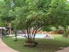 Apartamento Villa Kasadya