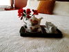 Casa D' Campo Tababela Hotel Boutique