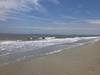 Hotel Comfort Inn - South Forest Beach