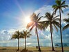 Hotel Marriott Hollywood Beach