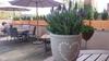 Hostal Zum Wei�en Haus