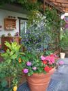 Haus Gr�tzner
