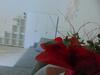 Apartamento Liberty Residence