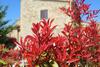 Apartamento Casale La Collina