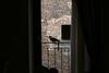 Hostal Casa Margherita