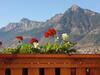 Bed & Breakfast Garni Unterhaslerhof