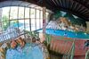 Edgewater Hotel