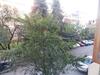 Apartment Inasaridze 17