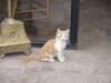 Bed & Breakfast La Casa De Las Conservas Gold