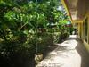 Hotel Cabinas Y Camping El Tecal