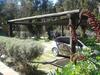 Lodge Montebello Caba�as