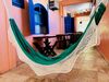 Hostal Estalagem 11 Suites