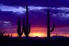 Hotel Hilton Garden Inn Victorville