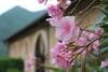 Bed & Breakfast Abbazia San Pietro In Valle