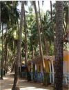 Agroturismo Bay Leaf Resorts