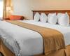 Hotel Quality Inn Near Long Beach Airport