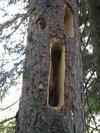 Apartamento Appartement Ewald Siller