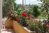 Apartments With A Parking Space Punat (krk) - 5350