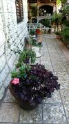 Hostal Guesthouse Ivona