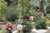 Hostal Apartments Renata