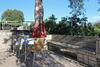 Apartment Lumbarda 9299a