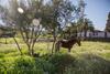 Hotel Se�orio Del Valle