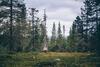 Lapland Hotels Sirkant�hti