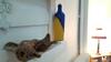 Apartamento Home In Centre Mavromichali