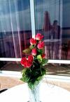 Saint Konstantin Beach Apartments