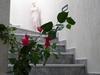 Aparthotel Hotel Ippocampos Studios