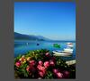 Hostal House Lucija