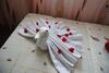 Hostal Joleski Accommodation