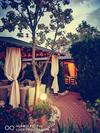Hostal Pensiunea Zefir