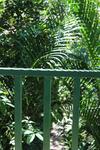 Hotel Cabinas Tortuguero