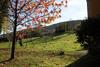 Agroturismo Casa Rural La Boleta