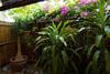 Hotel Seahorse Resort & Spa