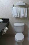 Holiday Inn Express Hotel & Suites College Station