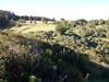 Casa Chacurra Pichilemu (punta De Lobos)