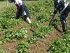 Agroturismo Hospedaje La Loica