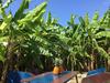 Agroturismo Iroha