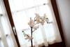 Apartamento Olazabal