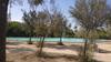 Apartamento Stunning La Mata Beach Suite