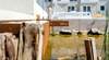 Apartamento Duerming O Casal Da Marti�a