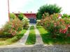 Apartamento Mas Oliva