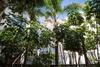 Apartamento Holidays2 La Carihuela