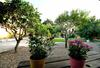 Agroturismo Casas El Camino
