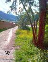 Agroturismo Wayqi Wasi
